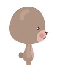 Fototapeta premium Cute bear cartoon vector design
