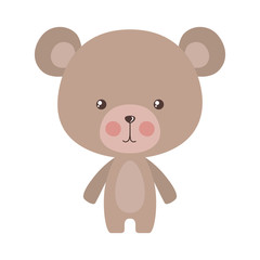 Cute bear cartoon vector design