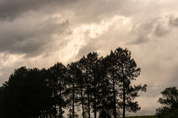 The colors of summer dawn in southern Brazil516