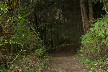 camino