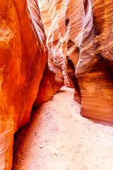 The smooth curved Red Sandstone walls caused by water erosion in Mountain Sheep Canyon. Mountain Sheep Canyon is one of the famous Slot Canyons in the Navajo lands near Page Arizona, United States