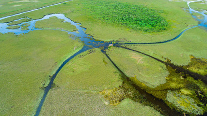 Airboat tour in Everglades National Park. Miami. Florida. USA.