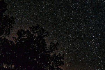 Night Sky Love