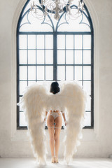 portrait of sexy woman in angel costume with white wings standing in front of window