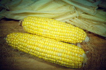 Patch of corn peeled on a wooden board on a background of leaves. Two pieces
