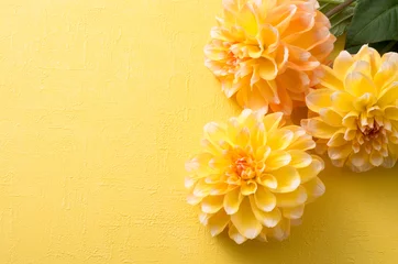 Foto op Canvas 黄色のダリアと黄色い背景 © kurousagi