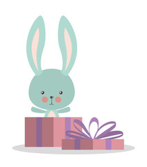 Cute rabbit cartoon and gift vector design