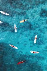 Aerial pic of surfers seating on surfboards and waiting for wave in the middle of ocean with perfect weather and clean water at sunset time in Hawaii paradise, shot on drone from above - obrazy, fototapety, plakaty