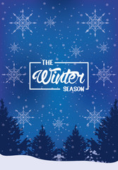 blue winter poster with snowflakes and forest scene
