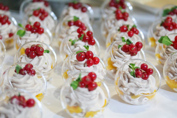 Mini cakes decorated with whipped cream and fresh red currant. Sweet tasty snacks at the party. Food photography. Lots of pastry pieces on the plate. Catering service