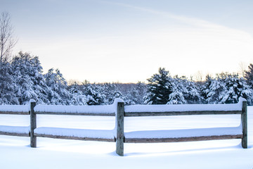 Snow covered fence in front of a forest - Powered by Adobe