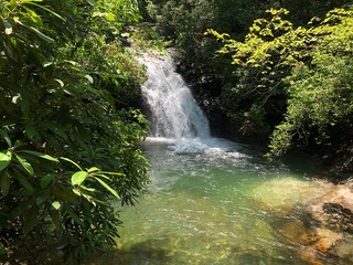 Fototapeta premium waterfall in forest