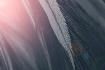 Beautiful black feather pattern  texture background with pink light flare