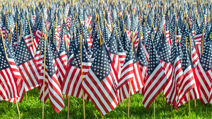 Flags Wave of Respect