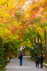 紅葉するモミジと観光客