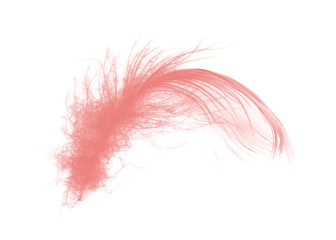 Beautiful light pink feather isolated on white background