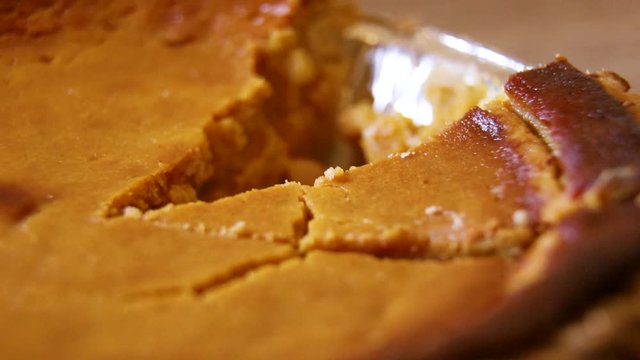 closeup macro shot of traditional homemade delicious natural pumpkin pie being cut and lifted from the pan.  the tasty moist brown treat has a soft interior and great smell perfect for the holidays.