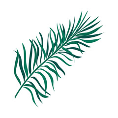 Isolated tropical green leaf vector design
