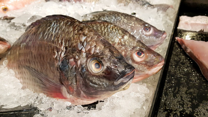 tilapia fish in store, preservation with ice