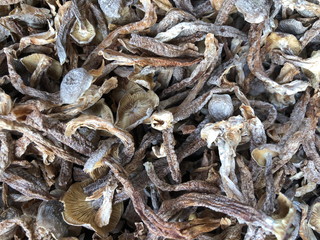 Dried boletus mushrooms for sale on the market