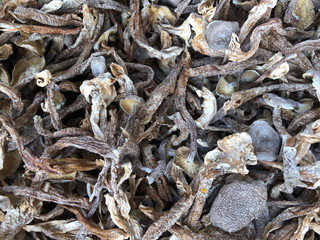 Dried boletus mushrooms for sale on the market