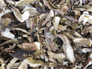 Dried boletus mushrooms for sale on the market