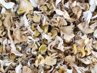 Dried boletus mushrooms for sale on the market