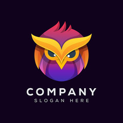 colorful owl logo illustration