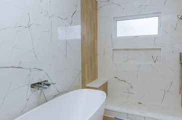 Modern design bathroom interior an open in shower