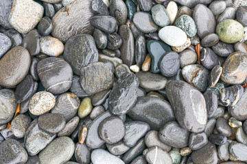 Vancouver Island, British Columbia