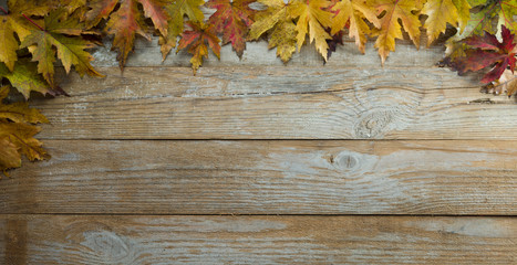 Naklejka na ściany i meble leaves and wooden table