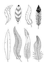 Collection of hand drawn feathers. Ink illustration isolated on white background
