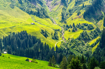 Alpen Blick Sommer Tirol 