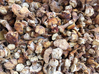 Dried boletus mushrooms for sale on the market