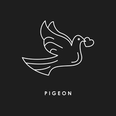  Carrier pigeon line icon