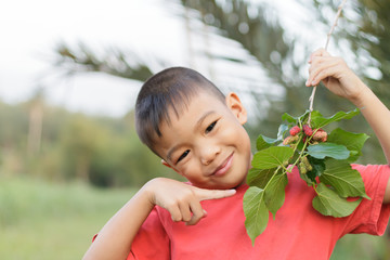 Happy​ little​ farmer​ Asian​ child​ boy​ pointing​ finger​ and harvesting​ some​ mulberry fuirts at​ the​ garden​ farm.​ Agriculture​ and​ kids​ concept.​ Vintage style.​ 
