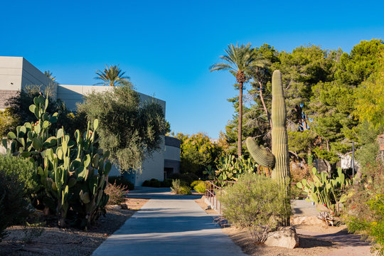 Beautiful landscape of the UNLV