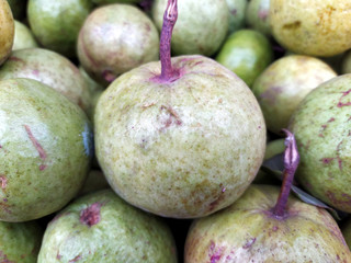 fresh green sweet guava fruits put on street shop