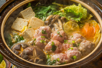 とりだんご鍋　Chicken bowl hot pot winter Japanese food