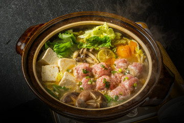 とりだんご鍋　Chicken bowl hot pot winter Japanese food