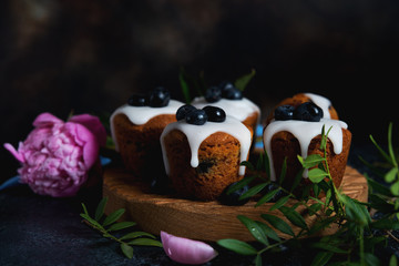 Still life of delicious homemade muffins poured with sugar Fudge and decorated with blueberries on a dark background.