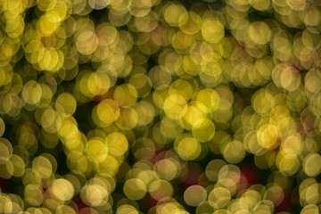Beautiful bokeh background 
