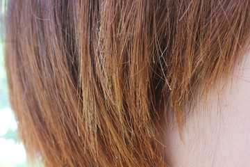 Dry, damaged, split hair ends from hair coloring. Colored female hair. Background of colored hair