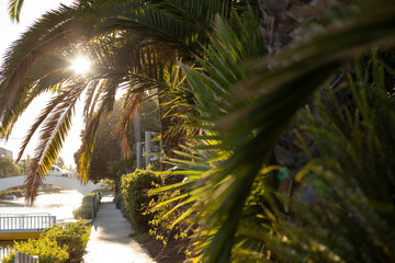 Venice Beach Canals in Los Angeles, California
