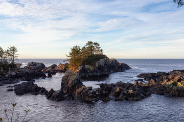 Wild Pacifc Trail, Ucluelet, Vancouver Island, BC, Canada. Beautiful View of the Rocky Ocean Coast during a colorful and vibrant morning sunrise.