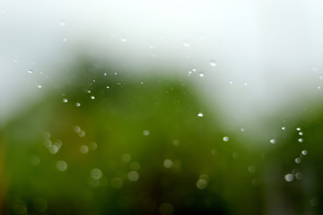 Rain drop bokeh with green nature background. © Janthana