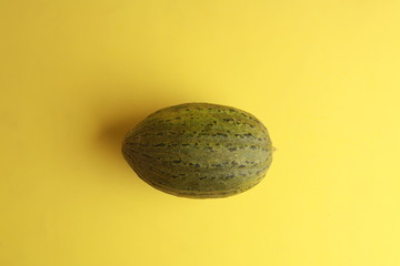 delicious melon grown in Spain on colorful background