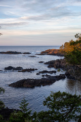 Wild Pacifc Trail, Ucluelet, Vancouver Island, BC, Canada. Beautiful View of the Rocky Ocean Coast during a colorful and vibrant morning sunrise.