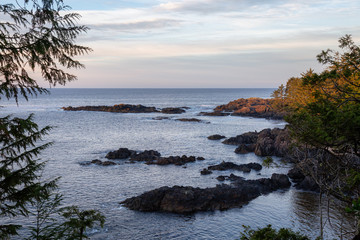 Fototapeta na wymiar Wild Pacifc Trail, Ucluelet, Vancouver Island, BC, Canada. Beautiful View of the Rocky Ocean Coast during a colorful and vibrant morning sunrise.