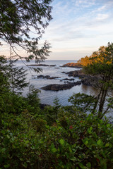 Fototapeta na wymiar Wild Pacifc Trail, Ucluelet, Vancouver Island, BC, Canada. Beautiful View of the Rocky Ocean Coast during a colorful and vibrant morning sunrise.